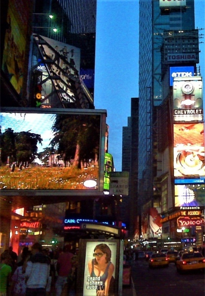 New-York-City-Lights-800