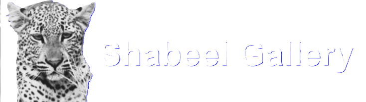 Shabeel Gallery